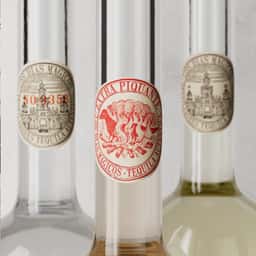 Brand Identity for Los Dias Mágicos Tequila - thumbnail 8