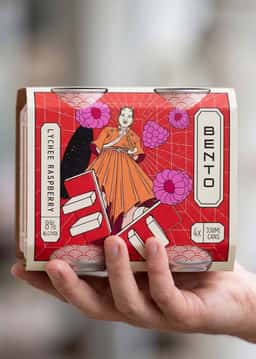 Packaging Design for Bento Canned Alcoholic Sodas - thumbnail 6