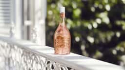 Packaging Refresh for Mumm Terroir - thumbnail 8