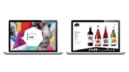 Brand Identity and Packaging for Gallo’s Offscript Wine Incubator - thumbnail 5