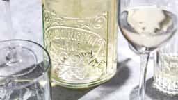 Packaging for Paddington Lane Rosé - thumbnail 7