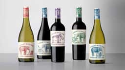 Brand Identity and Packaging for Elephant in the Room Wine - thumbnail 5