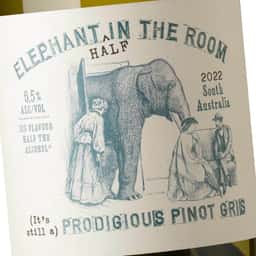 Brand Identity and Packaging for Elephant in the Room Wine - thumbnail 9