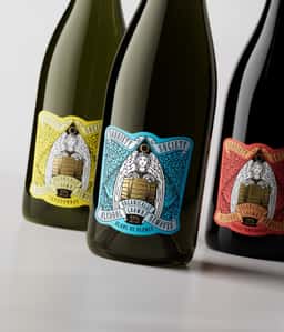 Brand Identity for a Sparkling Tea - thumbnail 7