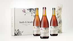 Brand Identity for a Sparkling Tea - thumbnail 8
