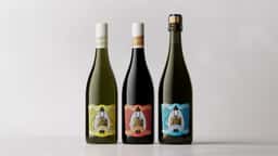 Brand Identity and Packaging for a Non-Alcoholic Wine - thumbnail 5