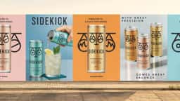 Packaging Design for Sidekick Tonics - thumbnail 4