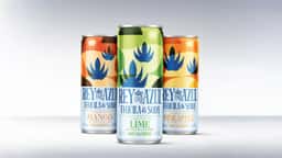 Brand Identity and Packaging for Rey Azul Tequila RTD - thumbnail 4