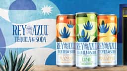 Brand Identity and Packaging for Rey Azul Tequila RTD - thumbnail 5