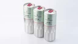 Packaging for Chapel Down Gin & Tonic RTD - thumbnail 5