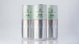 Packaging for Chapel Down Gin & Tonic RTD - thumbnail 7