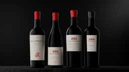 Brand Identity and Packaging for Louis M. Martini Winery - thumbnail 5