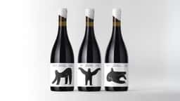 Packaging for Wild Folk Natural Wine - thumbnail 4