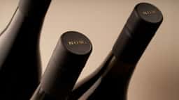 Brand Identity and Packaging for Nicole Oatley Wines - thumbnail 9