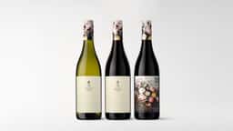 Brand Identity and Packaging for Tread Softly - thumbnail 4