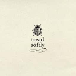 Brand Identity and Packaging for Tread Softly - thumbnail 5