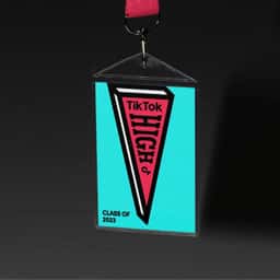 Event Branding for TikTok High - thumbnail 6