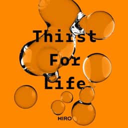 Packaging and Brand Design for Hiro Health - thumbnail 8