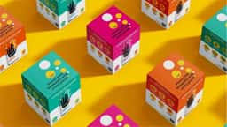 Brand Identity for Humble Warrior Plant-Based Drinks - thumbnail 4