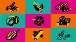 Brand Identity for Humble Warrior Plant-Based Drinks - thumbnail 9
