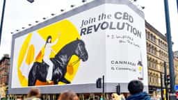 Brand Refresh for Cannaray CBD - thumbnail 6