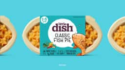 Brand Evolution for Little Dish - thumbnail 3