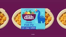 Brand Evolution for Little Dish - thumbnail 4