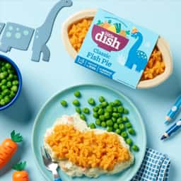 Brand Evolution for Little Dish - thumbnail 5