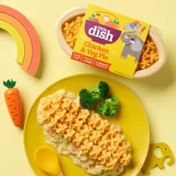 Brand Evolution for Little Dish - thumbnail 6