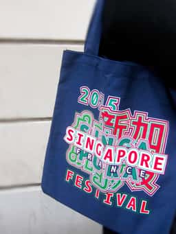 Visual Identity for Festival Singapour En France - thumbnail 5