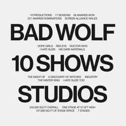 Website Redesign and Brand Identity for Bad Wolf - thumbnail 2