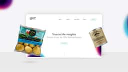 Brand Identity and Website for Consumer Insights Lab - thumbnail 6
