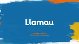 Brand Identity for Homelessness Charity Llamau - thumbnail 2