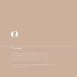 Brand Identity and Website for a Sustainable Clothing Company - thumbnail 3