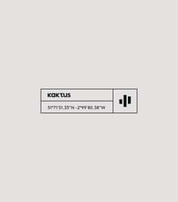 Brand Identity and Website for Kaktus Vans - thumbnail 3