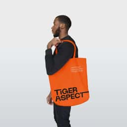 Brand Identity and Website for Tiger Aspect - thumbnail 2