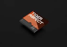 Brand Identity and Website for Tiger Aspect - thumbnail 3