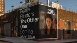 Brand Identity and Website for Tiger Aspect - thumbnail 6