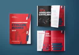 Brand Identity and Website for Sport Wales - thumbnail 5