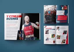 Brand Identity and Website for Sport Wales - thumbnail 6