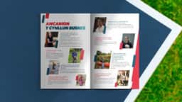 Brand Identity and Website for Sport Wales - thumbnail 7