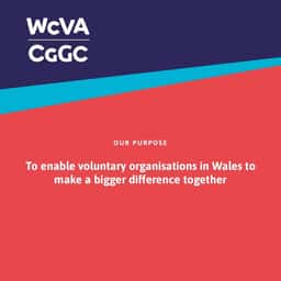 Brand Identity and Website for WCVA - thumbnail 3