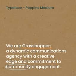 Brand Identity and Website for a Community Engagement Agency - thumbnail 2
