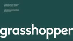 Brand Identity and Website for a Community Engagement Agency - thumbnail 3