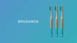 Brand Identity and Packaging for Brushbox - thumbnail 6