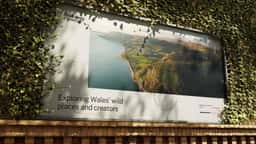 Brand Identity and Website for Discover Cymru - thumbnail 9