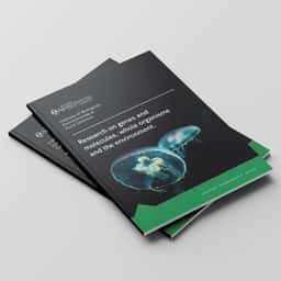 Brand Refresh for Aberystwyth University - thumbnail 7