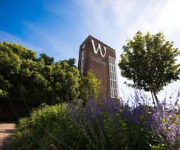 Brand Identity for Wrexham University - thumbnail 2