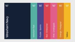 Brand Identity for Wrexham University - thumbnail 7