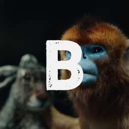Brand Identity and Website for Bad Wolf - thumbnail 5